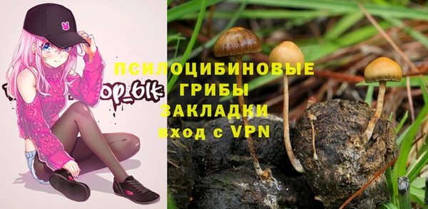 мескалин Балахна