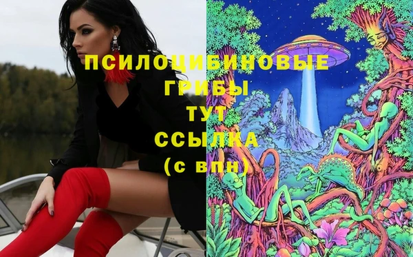 мескалин Балахна