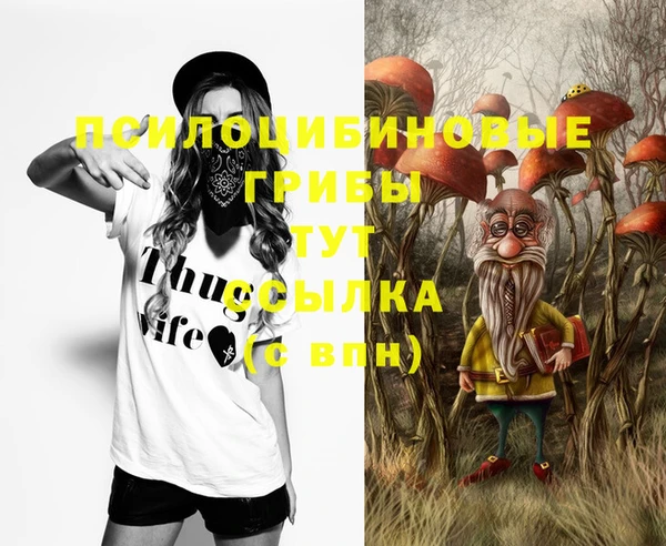 jwh Баксан