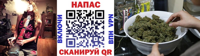 Конопля планчик  Пойковский 